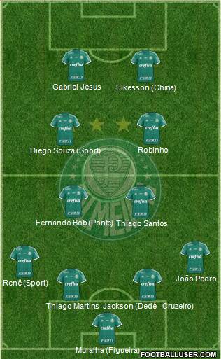 SE Palmeiras Formation 2015