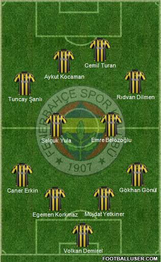 Fenerbahçe SK Formation 2015