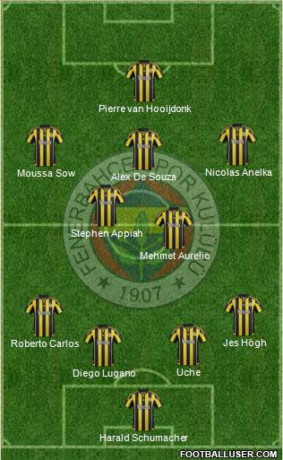 Fenerbahçe SK Formation 2015