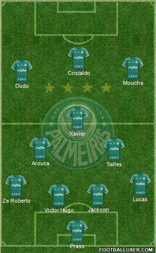 SE Palmeiras Formation 2015