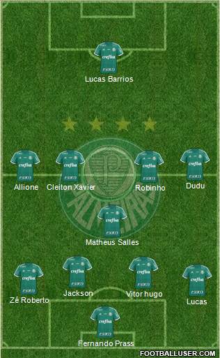 SE Palmeiras Formation 2015