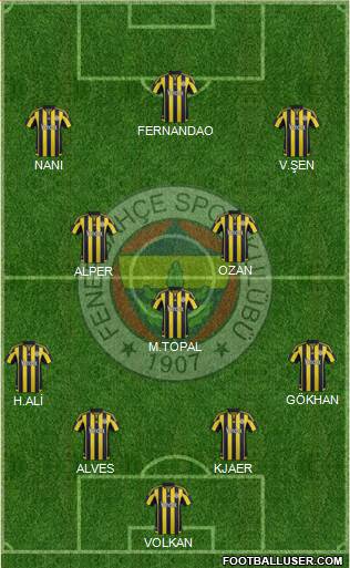 Fenerbahçe SK Formation 2015