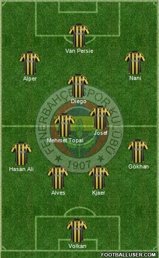 Fenerbahçe SK Formation 2015