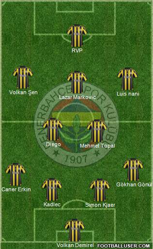 Fenerbahçe SK Formation 2015