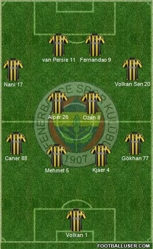 Fenerbahçe SK Formation 2015