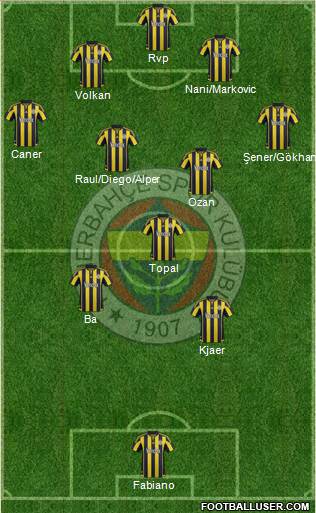 Fenerbahçe SK Formation 2015