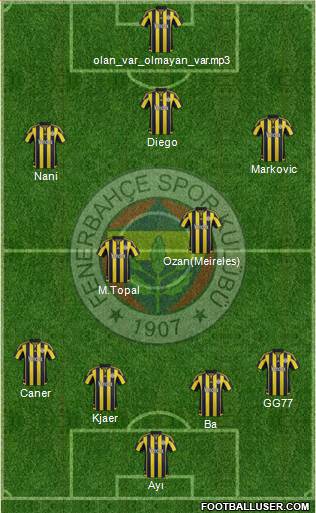 Fenerbahçe SK Formation 2015