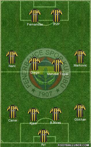 Fenerbahçe SK Formation 2015