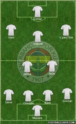 Fenerbahçe SK Formation 2015