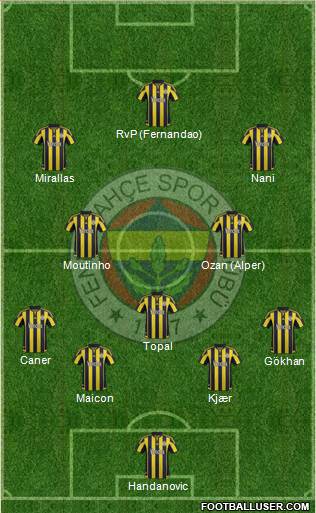 Fenerbahçe SK Formation 2015