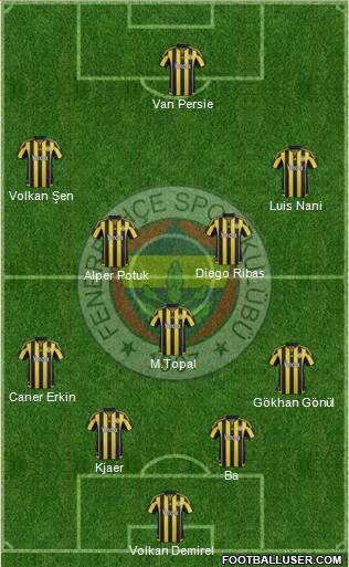 Fenerbahçe SK Formation 2015