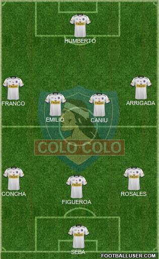 CSD Colo Colo Formation 2015