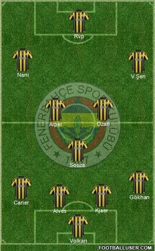 Fenerbahçe SK Formation 2015
