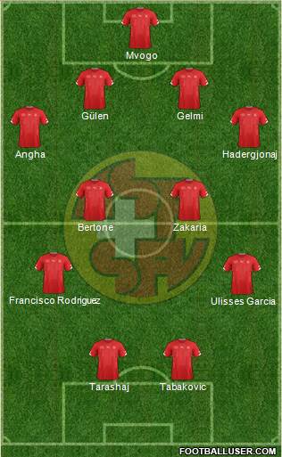Switzerland Formation 2015