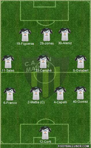 San Martín de San Juan Formation 2015