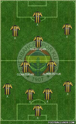 Fenerbahçe SK Formation 2015