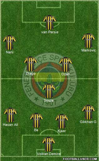 Fenerbahçe SK Formation 2015