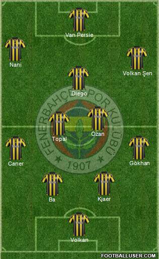Fenerbahçe SK Formation 2015
