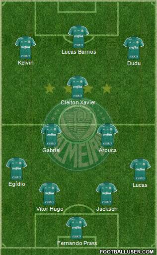 SE Palmeiras Formation 2015