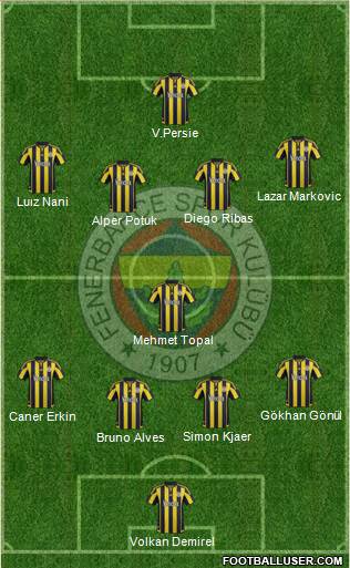 Fenerbahçe SK Formation 2015