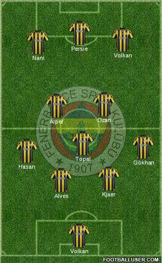 Fenerbahçe SK Formation 2015