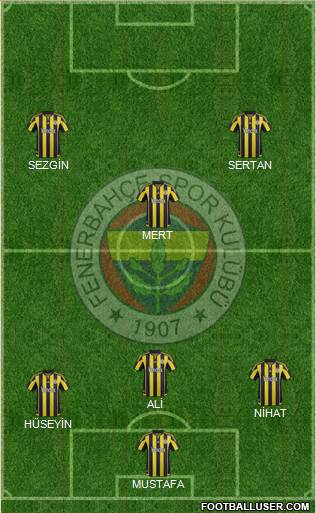 Fenerbahçe SK Formation 2015