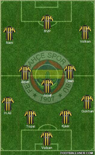 Fenerbahçe SK Formation 2015
