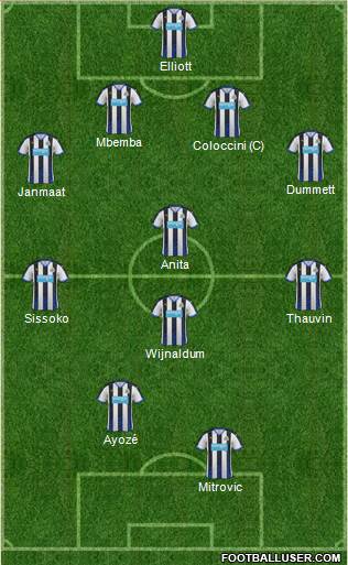 Newcastle United Formation 2015