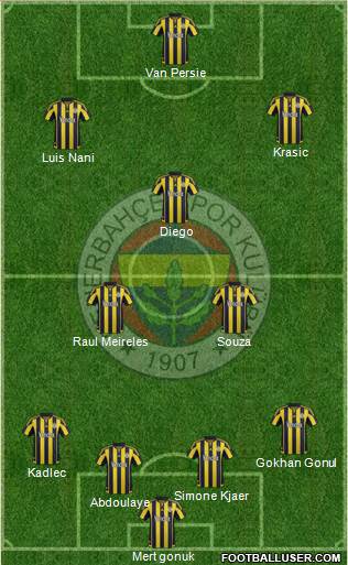 Fenerbahçe SK Formation 2015