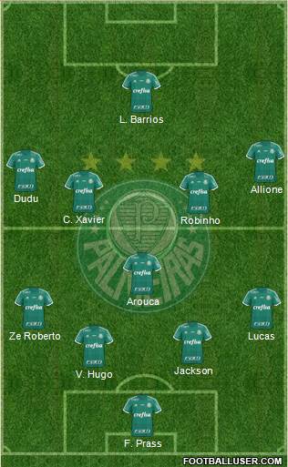 SE Palmeiras Formation 2015