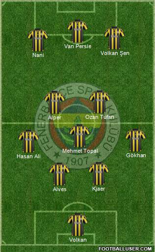 Fenerbahçe SK Formation 2015