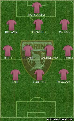 Torino Formation 2015
