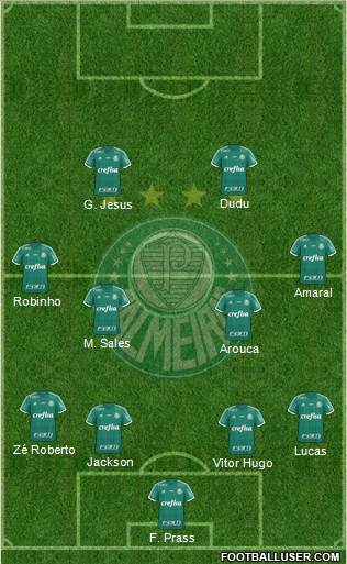 SE Palmeiras Formation 2015
