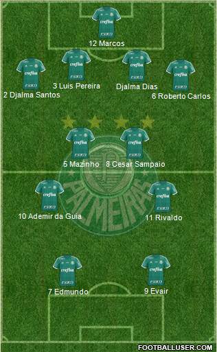 SE Palmeiras Formation 2015