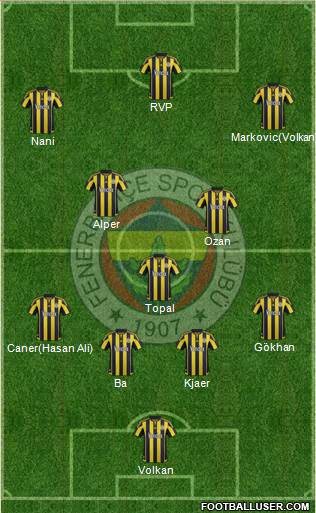 Fenerbahçe SK Formation 2015