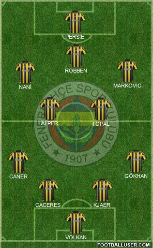 Fenerbahçe SK Formation 2015