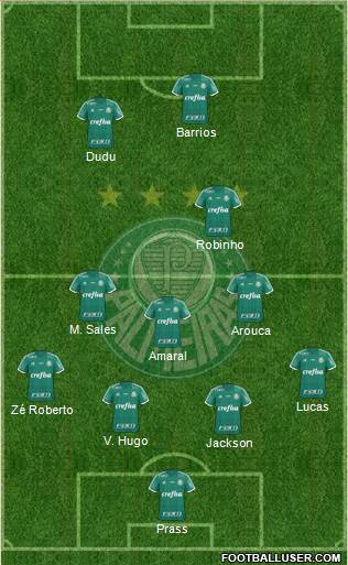 SE Palmeiras Formation 2015