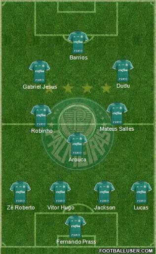 SE Palmeiras Formation 2015