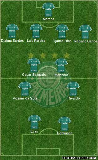 SE Palmeiras Formation 2015