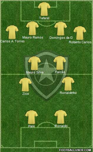 Botafogo FR Formation 2015