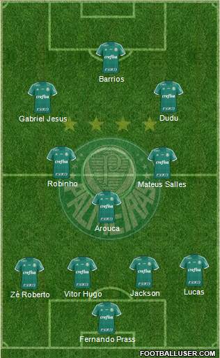 SE Palmeiras Formation 2015