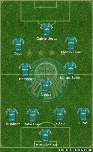 SE Palmeiras Formation 2015