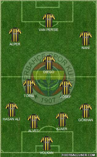 Fenerbahçe SK Formation 2015
