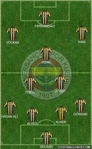 Fenerbahçe SK Formation 2015