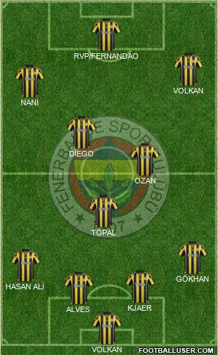 Fenerbahçe SK Formation 2015
