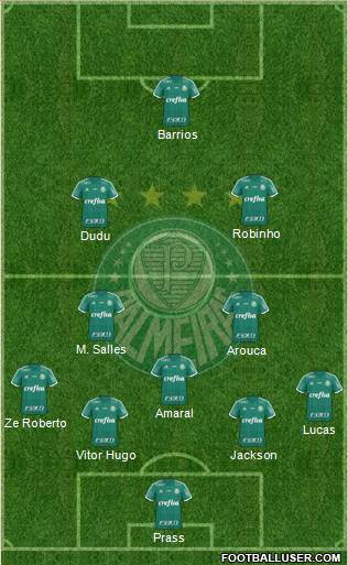 SE Palmeiras Formation 2015
