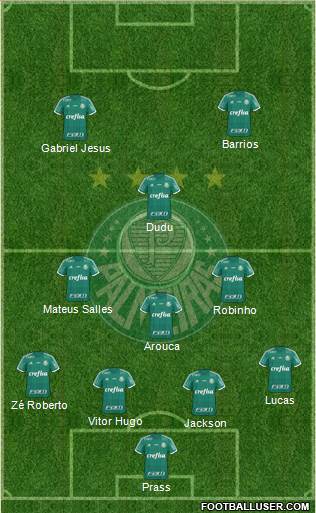 SE Palmeiras Formation 2015