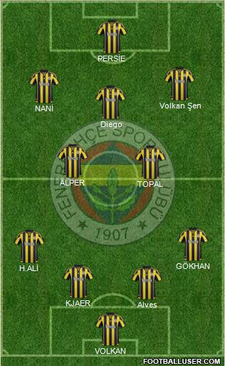 Fenerbahçe SK Formation 2015