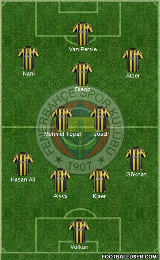 Fenerbahçe SK Formation 2015
