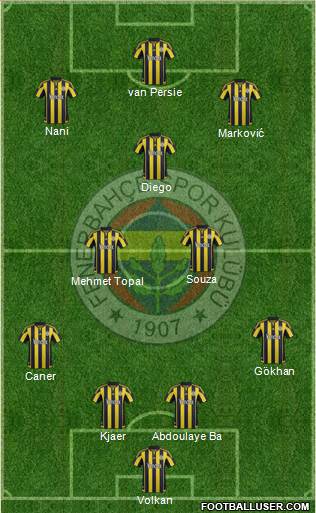 Fenerbahçe SK Formation 2015